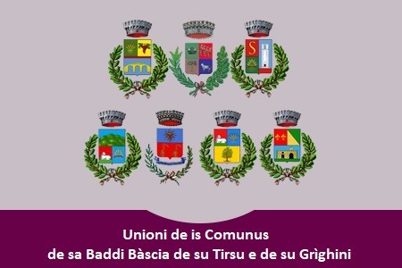 Unioni de is Comunus de sa Baddi Bàscia de su Tirsu e de su Grìghini. Depòsitu Bilànciu 2022/2024