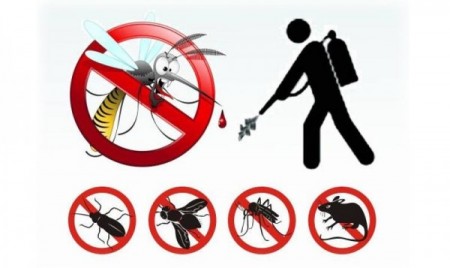 Siapicia. AVISU: disinfestatzioni peri sa bidda contras de su baballoti cun alas